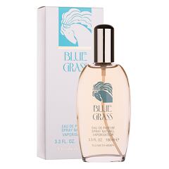 Eau de Parfum Elizabeth Arden Blue Grass 100 ml Tester
