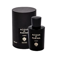 Eau de Parfum Acqua di Parma Signatures Of The Sun Ambra 100 ml