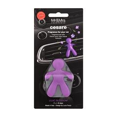 Autoduft Mr&Mrs Fragrance Cesare Fresh Air 1 St.