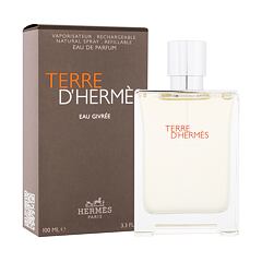 Eau de Parfum Hermes Terre d´Hermès Eau Givrée 100 ml